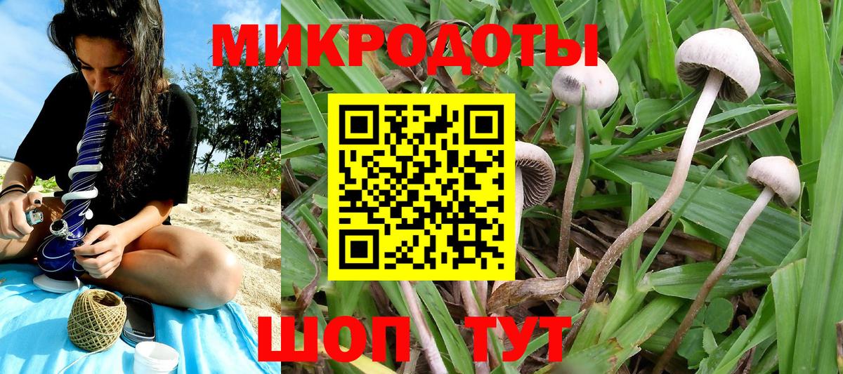 Псилоцибиновые грибы Magic Shrooms  Галлюциногенные грибы MAGIC MUSHROOMS  Вход с VPN  Кировск 